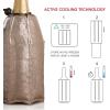 imageVacu Vin Rapid Ice Champagne Cooler  BottlePlatinum Gold