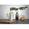 imageVacu Vin Rapid Ice Champagne Cooler  BottlePlatinum Gold